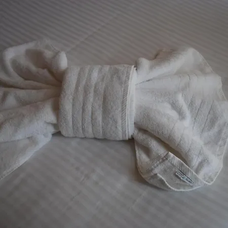 White Lotus Hotell Aten